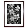 Artery8 White on Black Blooming Orchid Flower Plants Artwork Framed Wall Art Print 9X7 Inch view 1