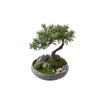 Fake Plants Realistic Podocarpus Bonsai Tree Simulated Lawn Natural Pebbles Ceramic Portraits Ceramic Ice-Cracked Flower Pots Chinese-Style Desktop Ornaments Bonsai Tree view 1