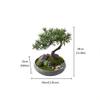 Fake Plants Realistic Podocarpus Bonsai Tree Simulated Lawn Natural Pebbles Ceramic Portraits Ceramic Ice-Cracked Flower Pots Chinese-Style Desktop Ornaments Bonsai Tree view 2