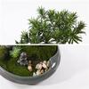 Fake Plants Realistic Podocarpus Bonsai Tree Simulated Lawn Natural Pebbles Ceramic Portraits Ceramic Ice-Cracked Flower Pots Chinese-Style Desktop Ornaments Bonsai Tree view 3