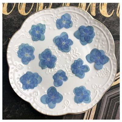 ZYAURA F 120pcs Pressed Dried Multi-Petals Hydrangea Flower Plant Herbarium for Postcard Invitation Card Bookmark Phone Case DIY Y (Color : 2-4cm Color-1)