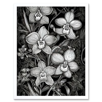 Artery8 White on Black Blooming Orchid Flower Plants Art Print Framed Poster Wall Decor 12x16 inch