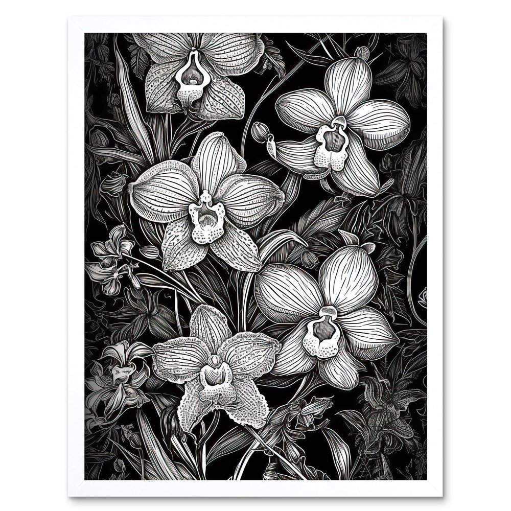 Artery8 White on Black Blooming Orchid Flower Plants Art Print Framed Poster Wall Decor 12x16 inch