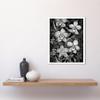 Artery8 White on Black Blooming Orchid Flower Plants Art Print Framed Poster Wall Decor 12x16 inch view 2