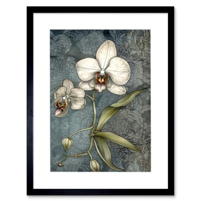 Artery8 Orchid Flower Blooms Pastel Colour Art Nouveau Artwork Framed Wall Art Print 12X16 Inch