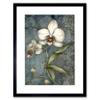 Artery8 Orchid Flower Blooms Pastel Colour Art Nouveau Artwork Framed Wall Art Print 12X16 Inch view 1