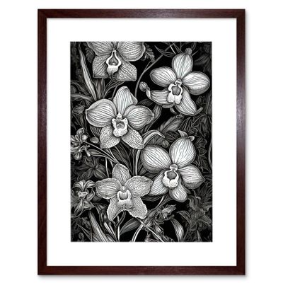 Artery8 White on Black Blooming Orchid Flower Plants Artwork Framed Wall Art Print 12X16 Inch