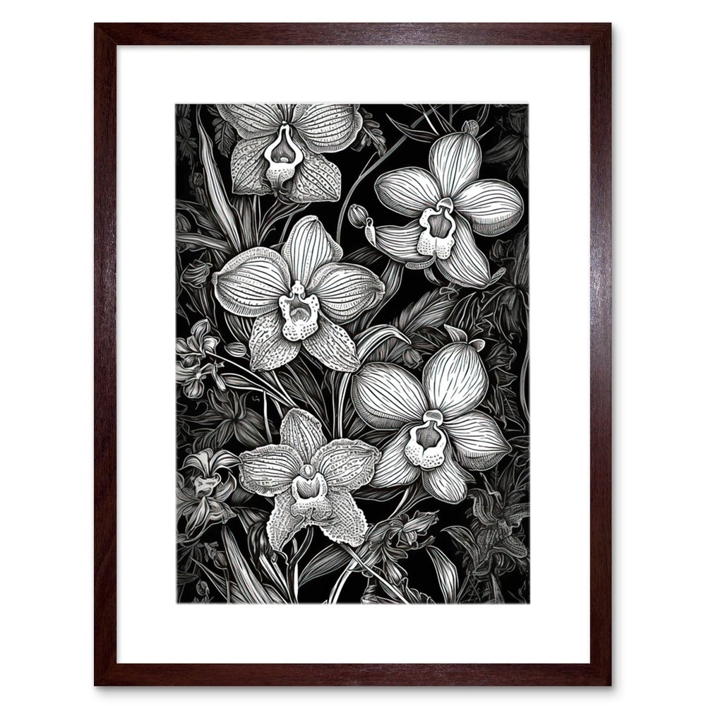 Artery8 White on Black Blooming Orchid Flower Plants Artwork Framed Wall Art Print 12X16 Inch