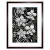 Artery8 White on Black Blooming Orchid Flower Plants Artwork Framed Wall Art Print 12X16 Inch view 1