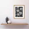 Artery8 White on Black Blooming Orchid Flower Plants Artwork Framed Wall Art Print 12X16 Inch view 2