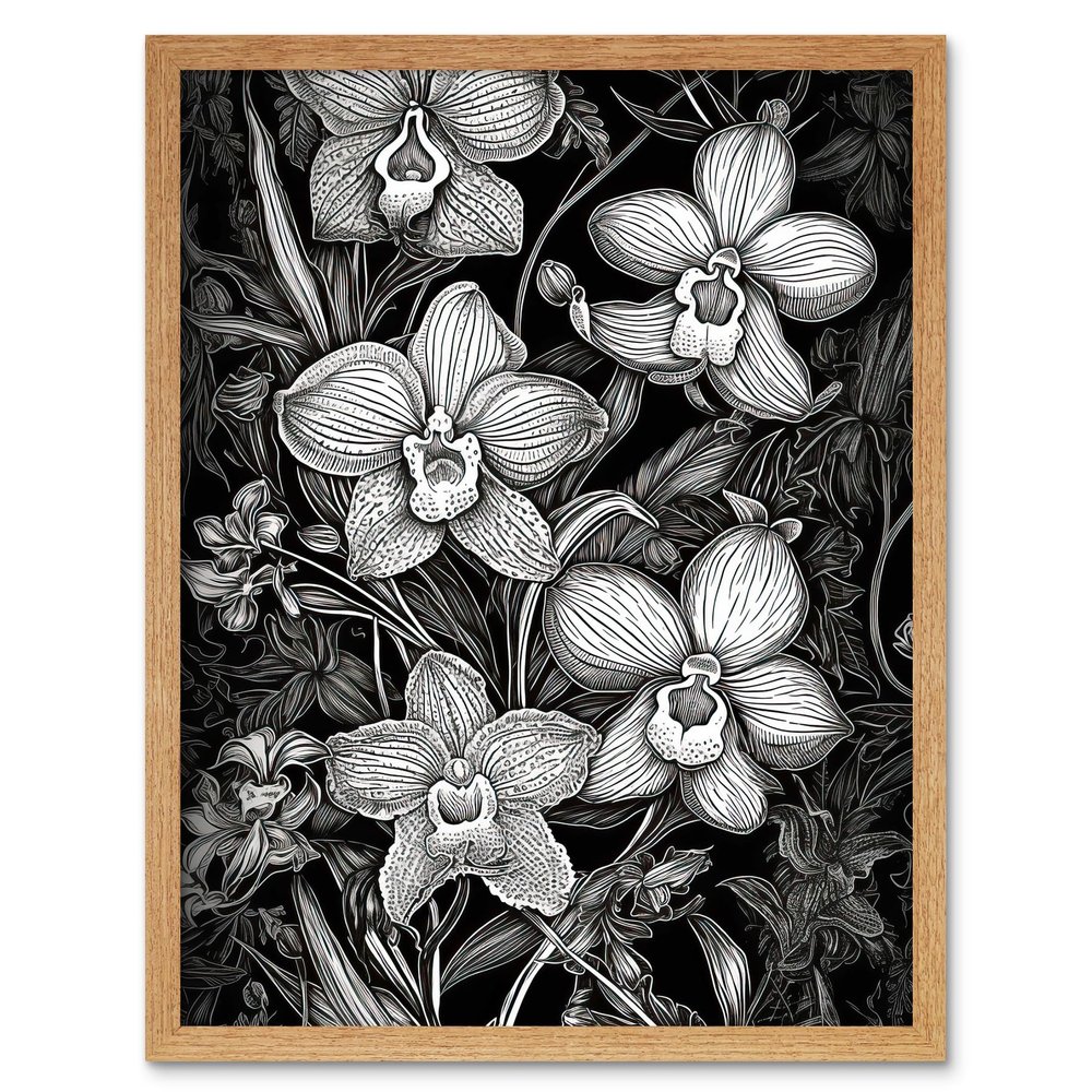 Artery8 White on Black Blooming Orchid Flower Plants Art Print Framed Poster Wall Decor 12x16 inch