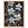 Artery8 White on Black Blooming Orchid Flower Plants Art Print Framed Poster Wall Decor 12x16 inch view 1