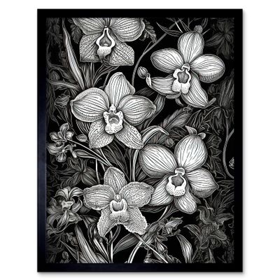 Artery8 White on Black Blooming Orchid Flower Plants Art Print Framed Poster Wall Decor 12x16 inch