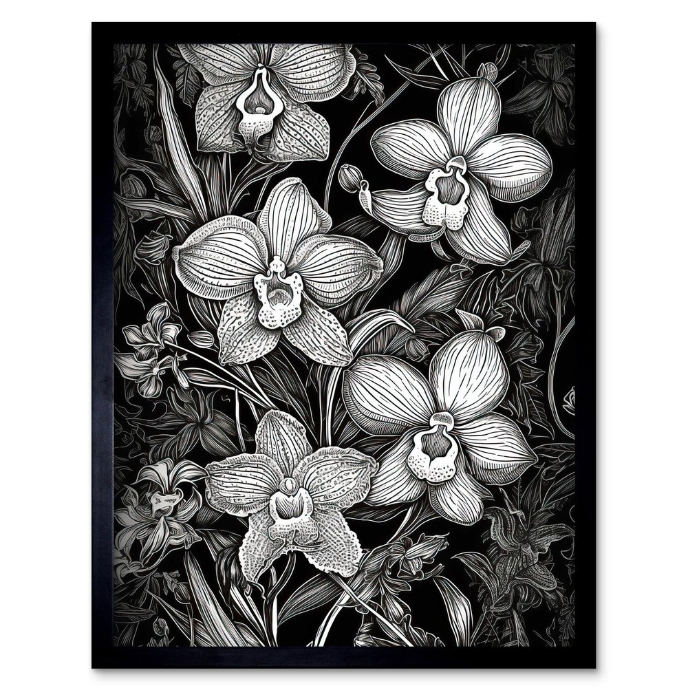 Artery8 White on Black Blooming Orchid Flower Plants Art Print Framed Poster Wall Decor 12x16 inch