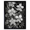Artery8 White on Black Blooming Orchid Flower Plants Art Print Framed Poster Wall Decor 12x16 inch view 1