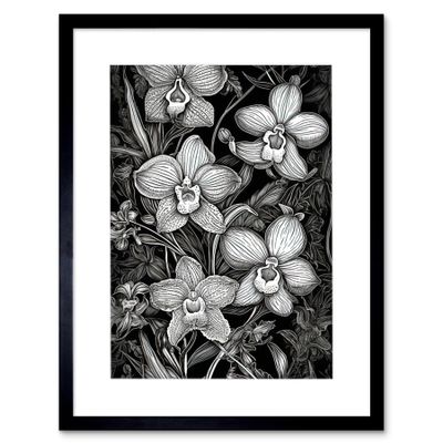 Artery8 White on Black Blooming Orchid Flower Plants Artwork Framed Wall Art Print 12X16 Inch