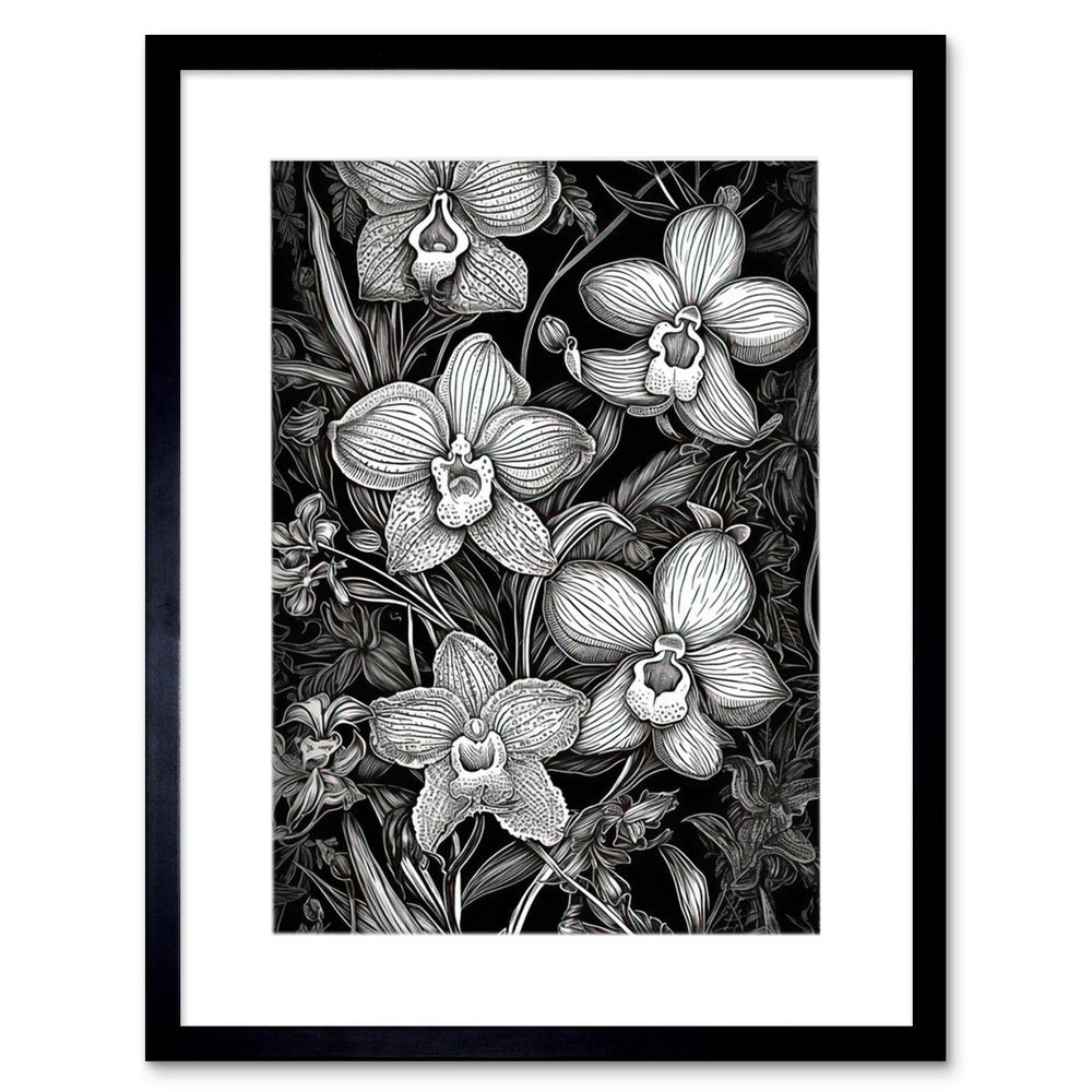 Artery8 White on Black Blooming Orchid Flower Plants Artwork Framed Wall Art Print 12X16 Inch