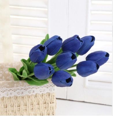 AAMODTS Blue