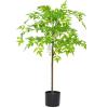 JLXJYS Artificial Plant Bonsai(170cm/66.93in) Faux Nantian Bamboo Bonsai with Black Planter, for Living Room Garden Balcony Entryway Dining Room (Size : 100cm(39.37in)) view 1