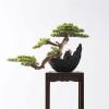 Fake Plants Artificial Bonsai Tree Indoor Simulated Greenery Bonsai Wood Decorative Bonsai with Resin Flower Pot for Home, Office, Desk Decor Bonsai Tree view 3