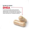 Force Factor DHEA 25mg, DHEA Supplement for Women & Men view 3