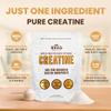 B.rad 100% Pure Micronized Creatine Monohydrate Powder | Natural, No Additives | Boosts Muscle Strength, Recovery & Performance | Supports Brain Health | 300g, 60 Servings view 4