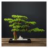 SCOOVY Plant Faux Bonsai Home Dector Simulated Welcome Pine Bonsai Decoration Living Room Fake Tree Green Potted Plant Ornaments Artificial Scenery Desktop Potted Tree view 1