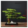 SCOOVY Plant Faux Bonsai Home Dector Simulated Welcome Pine Bonsai Decoration Living Room Fake Tree Green Potted Plant Ornaments Artificial Scenery Desktop Potted Tree view 2