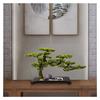 SCOOVY Plant Faux Bonsai Home Dector Simulated Welcome Pine Bonsai Decoration Living Room Fake Tree Green Potted Plant Ornaments Artificial Scenery Desktop Potted Tree view 4