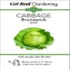 Cabbage Brunswick Seed view 1