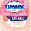Dawn Gentle Clean Dishwashing Liquid 16.2 oz, Pomegranate & Rose Water Scent (Pack of 3) view 2