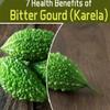 3V Bitter Gourd Powder | Karela Powder | Momordica Charantia | Pavakkai Powder | 100g, 3.53 Ounce view 3