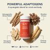 Sol Nutrition GoGo Energy Supplement: Natural Energy Boost, Cortisol Regulation, Focus Support, Herbal Alternative for Men & Women view 2