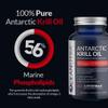 100% Pure Krill Oil 1000mg, Omega 3, Highest Concentration 56% Phospholipids, Choline & Astaxanthin, Sustainable Antarctic SuperbaBoost, DHA, EPA, Heart, Brain, Eye & Skin Care, No Fish Oil view 2