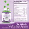 Nicotinamide 500mg Gummies, (Flush Free Niacin) Vitamin B3 Niacinamide Supplement for Cell Regeneration, NAD+ Levels, Anti-Aging, Cellular Energy, Focus & DNA Repair, Longevity, Sugar Free, 60Cts view 2