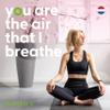 Airmax Sport Nasal Dilator - Breathing aids for Working Out - Medium - Vacation Essentials - Fitness, Running, Pilates - Gym Equipment - Transparent - One-Pack view 4