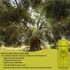 YANNIS FINEST | Greek Multi Awarded Extra Virgin Olive Oil | 100% Natural | Single Origin | Cold Pressed | Early Harvest | Low Acidity | High in Polyphenols | Non-GMO | Gluten-Free | 17 fl.oz (17 Fl Oz (Pack of 6)) view 4