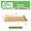 EcoQuality Compostable Sushi Trays X-Large - Natural Sugarcane Bagasse Take Out Sushi Container - Biodegradable, Disposable Sushi Plate, Eco Friendly, Plastic Alternative, To go, Serving Tray (25) view 3