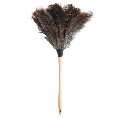 NineLife Basics Ostrich Feather Duster, Soft, Wood Handle, Multi-Purpose, Easy to Use and Store