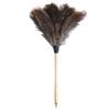 NineLife Basics Ostrich Feather Duster, Soft, Wood Handle, Multi-Purpose, Easy to Use and Store view 1