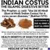 YUJI qust al Hindi (Indian costus Root) 100 GRMS. (NOT Powdered) view 3