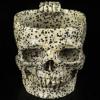 10.6 OZ, 6.3" Dalmatian Jasper Hand Carved Crystal Skull Cup, Crystal Healing view 2