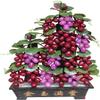 Simulation Tree Jade Bonsai Gem Decoration Grape Decoration Office Home Creative Bedroom Handicraft Decoration Chinese Style Bonsai Ornaments view 1