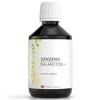 Zinzino - BalanceOil+ Vegan Lemon, Synergistic Blend with Marine Micro-Algae, Olive Oil, Ahiflower Seed Oil, Vegan Vitamin D3-300 ml view 1