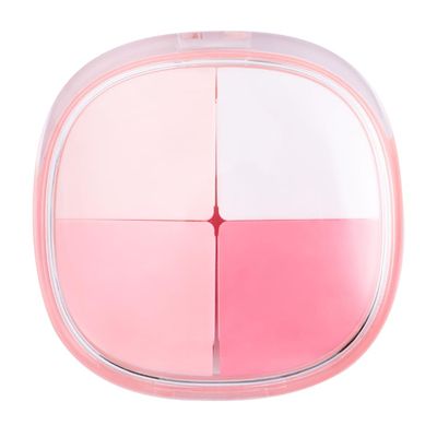 Healifty Portable Mini Pill Organizer 4 Compartments Compact Sealed Medicine Box Lightweight Travel Storage Case for Daily Pills and Jewelry