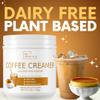 Non Dairy Coffee Creamer Powder - Zero Sugar Powdered Creamer for Hot or Iced Coffee - Keto Creamer for Women & Men - Low Calorie Coconut Creamer for Coffee (Crme Brle Flavor) view 3