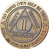 2 Year AA Medallion Trust God Clean House Help Others Sobriety Chip view 1