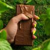 Maeve Chocolate Assorted Truffle Bars (12 Count) view 4