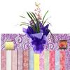 Flower Bee Floral Supply Cellophane Wrap Transparent, Iridescent or Victorian Lace Rolls Choose Colors Choose length 20-40 Inch Feet 100 X 20 Inch, LACE~ Purple view 3