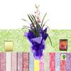 Flower Bee Floral Supply Cellophane Wrap Transparent, Iridescent or Victorian Lace Rolls Choose Colors Choose length 20, 24, 30, 40 Inch. Choose Feet 25-100 20 Inch, LACE~ Lime view 4